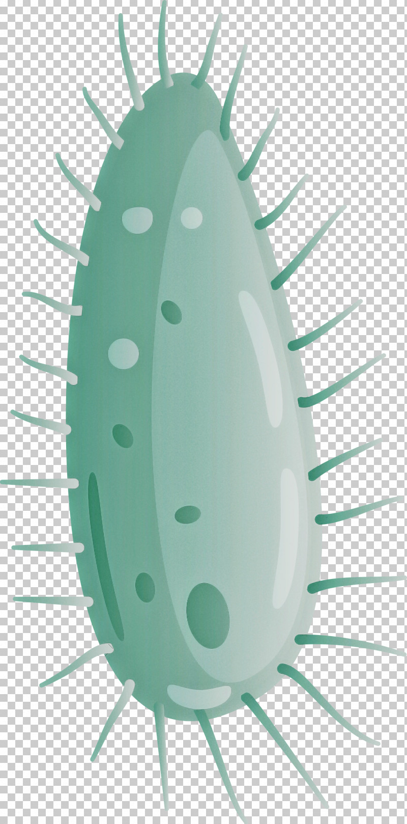 Virus PNG, Clipart, Cactus, Oval, Plant, Virus Free PNG Download