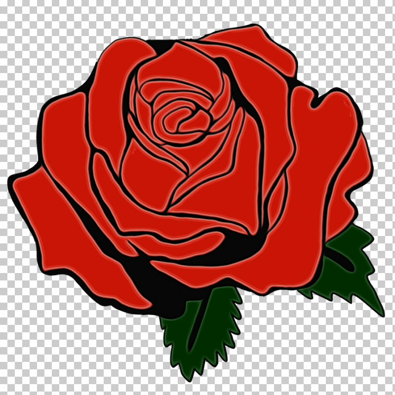 Garden Roses PNG, Clipart, Camellia, China Rose, Cut Flowers, Floribunda, Flower Free PNG Download