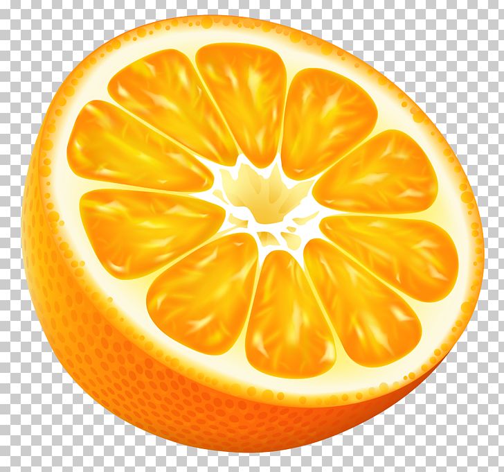 Orange Juice Tangerine PNG, Clipart, Bitter Orange, Citric Acid, Citron, Citrus, Clementine Free PNG Download