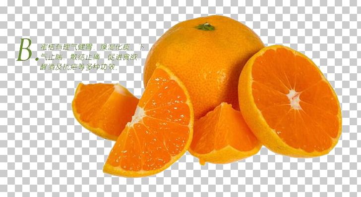 Clementine Citrus Japonica Mandarin Orange Citrus Margarita PNG, Clipart, Citrus, Food, Fruit, Fruit Nut, Golden Background Free PNG Download