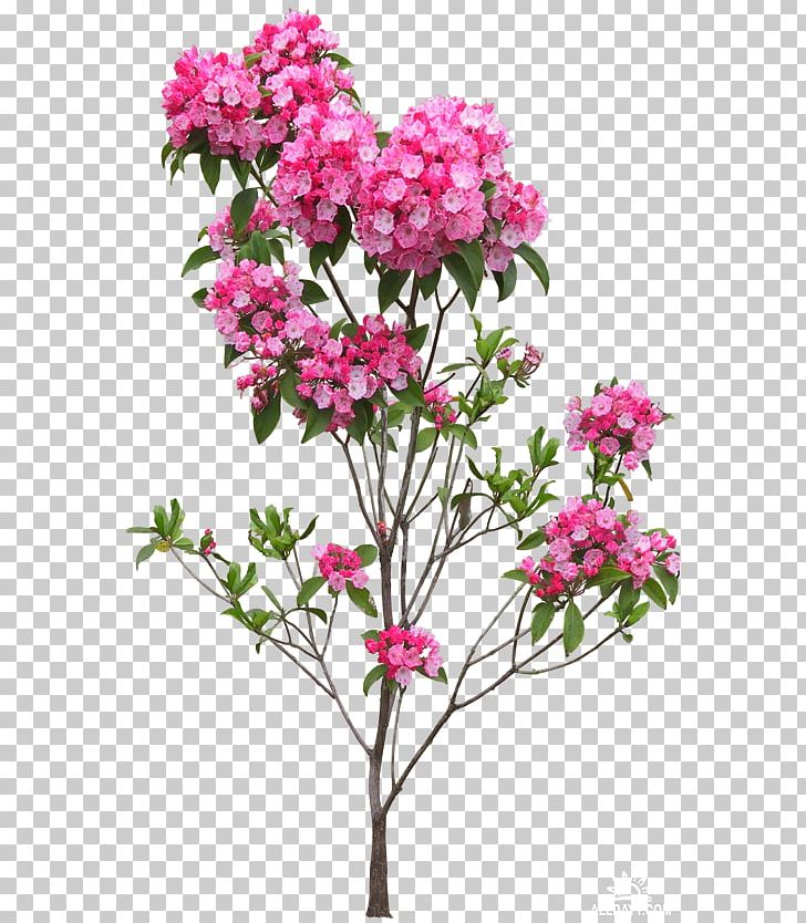 Flowerpot Tree PNG, Clipart, Blossom, Branch, Cut Flowers, Flower, Flower Garden Free PNG Download