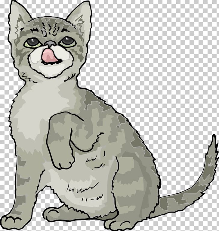 Himalayan Cat Kitten Siamese Cat PNG, Clipart, Animal Figure, Animals, Carnivoran, Cartoon, Cat Like Mammal Free PNG Download