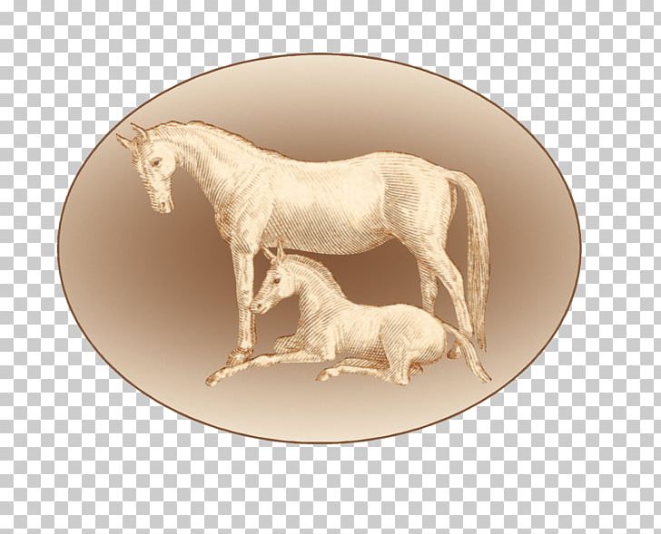 Mustang Pony Horse Stud Farm AP Ranch PNG, Clipart, Derby, Draver, Facebook, Gaelic, Horse Free PNG Download
