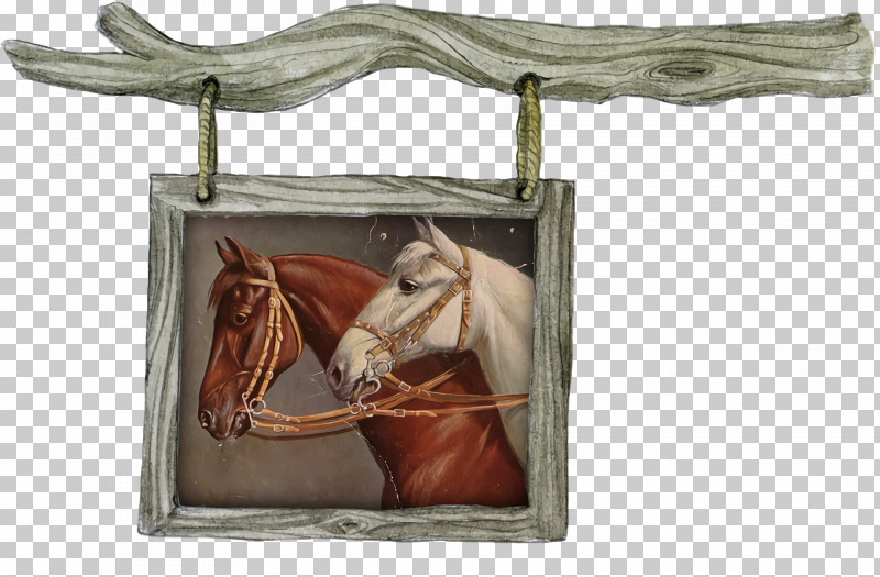 Horse Bridle Biology Science PNG, Clipart, Biology, Bridle, Horse, Science Free PNG Download