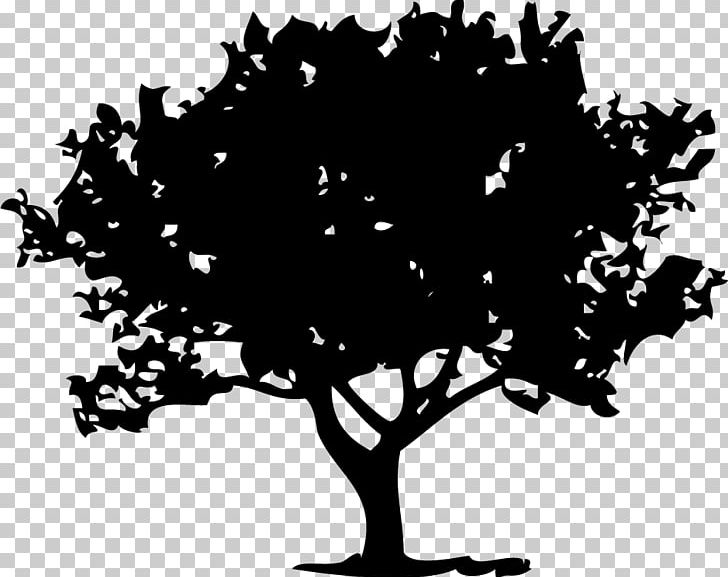 Drawing PNG, Clipart, Animals, Arborist, Art, Black And White, Branch Free PNG Download