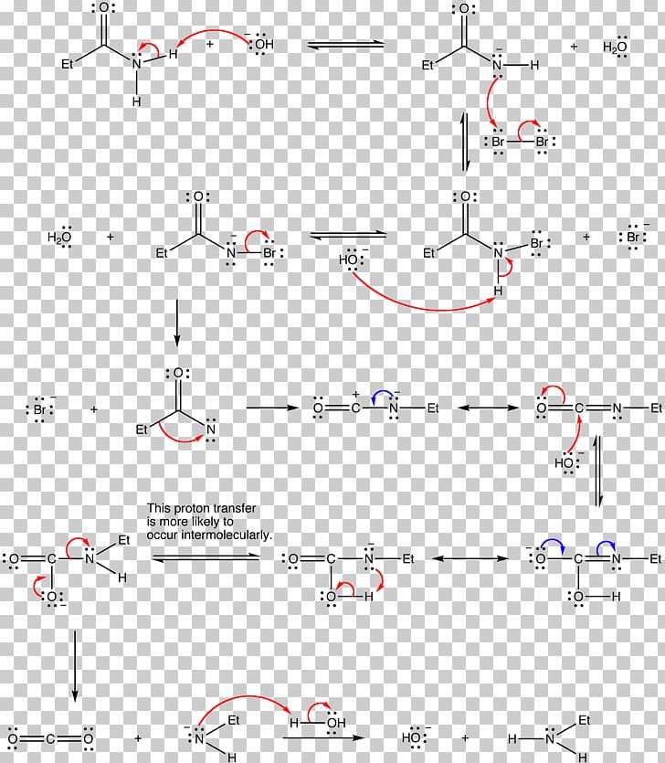 Elimination Reaction Hofmann Elimination Organic Chemistry Chemical Reaction PNG, Clipart, Alkene, Angle, Area, Base, Biochemistry Free PNG Download