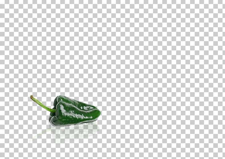 Poblano Pasilla Seed Chili Pepper PNG, Clipart, Capsicum, Capsicum Annuum, Chili, Chili Pepper, Enot Free PNG Download
