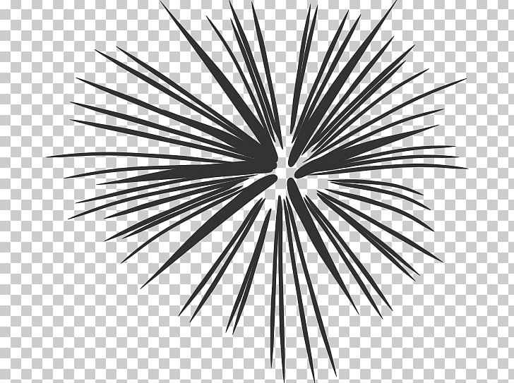Fireworks Free Content PNG, Clipart, Angle, Animation, Black And White, Cartoon, Circle Free PNG Download