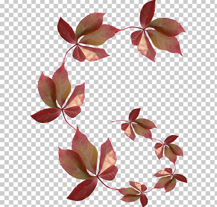 Blog Leaf Treelet PNG, Clipart, Blog, Branch, Centerblog, Flora, Flower Free PNG Download