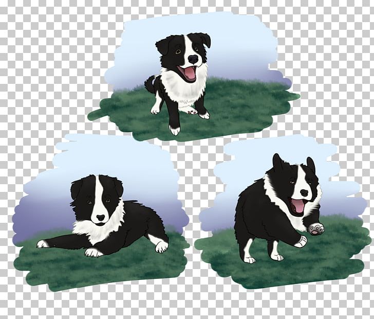 Dog Breed Karelian Bear Dog Border Collie Puppy Rough Collie PNG, Clipart, Animals, Bear, Border Collie, Breed, Carnivoran Free PNG Download