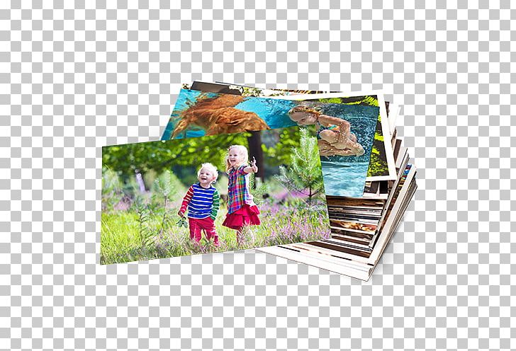 Photo-book Printing Photo Albums PNG, Clipart, Album, Book, Canvas Print, Negative, Objects Free PNG Download