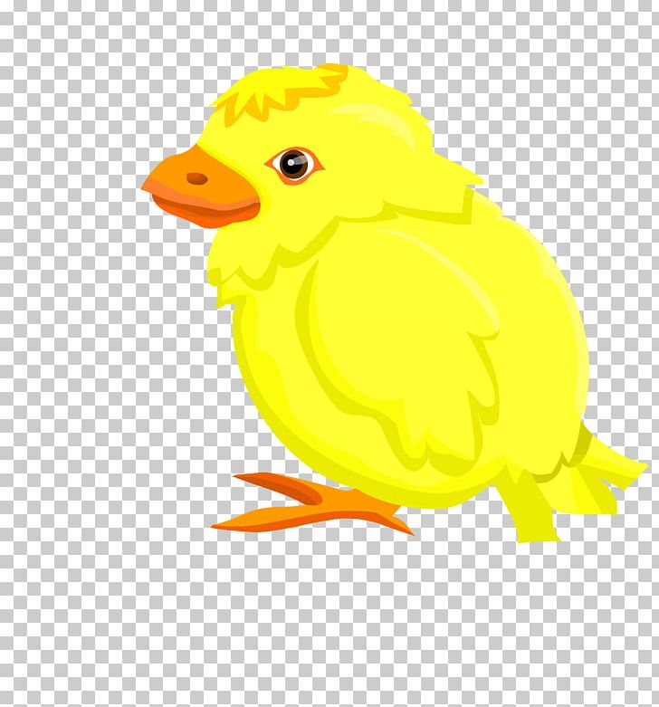 Bubble Chicken Yellow PNG, Clipart, Animals, Bird, Bubble Vector, Chicken, Encapsulated Postscript Free PNG Download