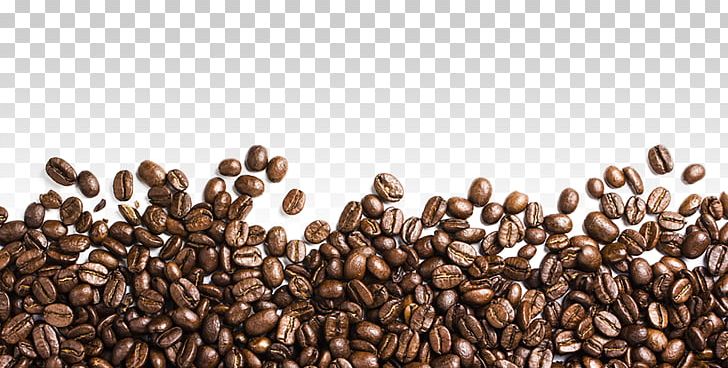 Coffee Bean Iced Coffee PNG, Clipart, Bean, Coffee, Coffee Beans, Coffee Preparation, Coffee Roasting Free PNG Download