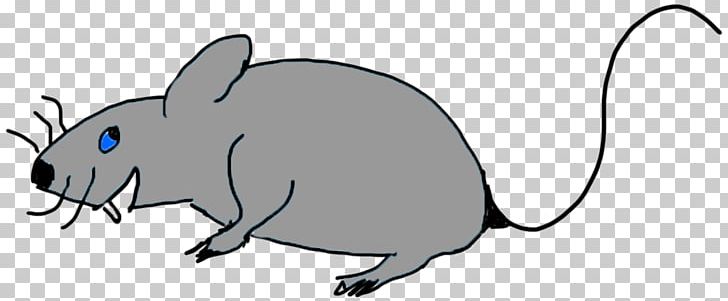 Whiskers Computer Mouse Snout Fauna PNG, Clipart, Black And White, Carnivoran, Cartoon, Character, Computer Mouse Free PNG Download