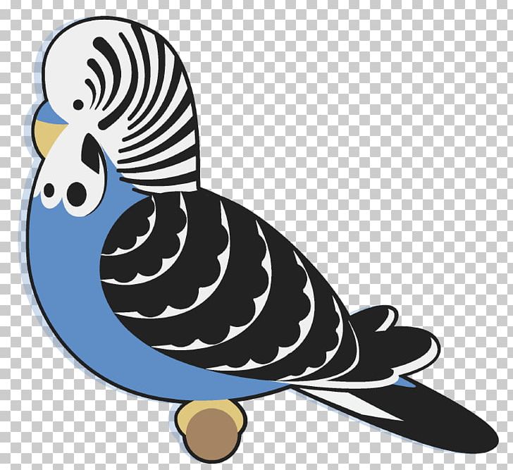Budgerigar Bird Beak Parakeet PNG, Clipart, Animal, Animals, Beak, Bird, Budgerigar Free PNG Download