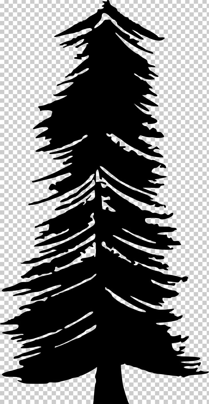 Desktop T-shirt Christmas PNG, Clipart, Black And White, Branch, Christmas, Christmas Decoration, Christmas Tree Free PNG Download