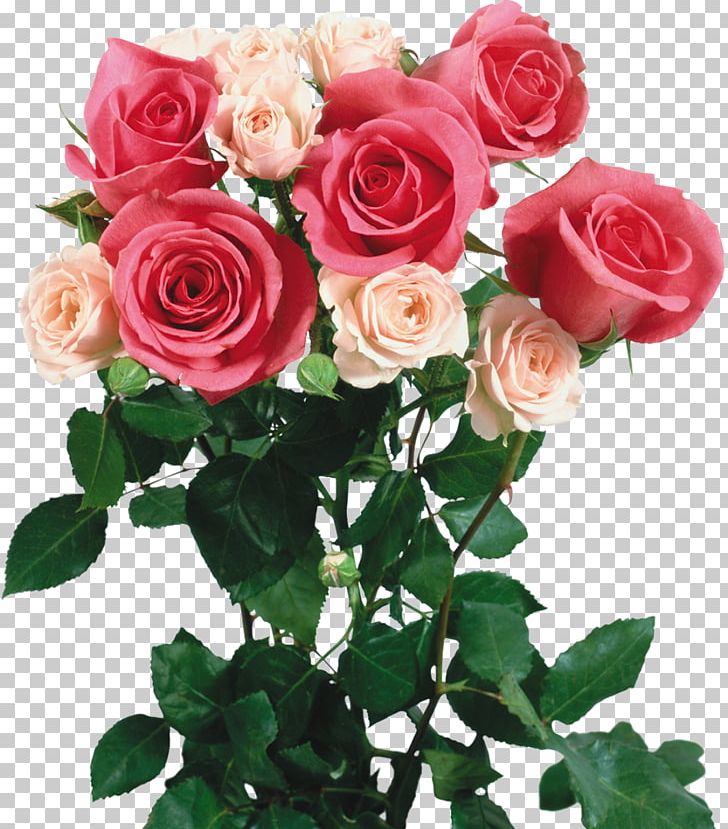 Garden Roses Flower Bouquet PNG, Clipart, Annual Plant, Artificial Flower, Bouquet Of Flowers, Cut Flowers, Desktop Wallpaper Free PNG Download