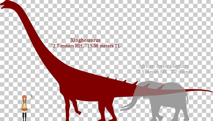 Dinosaur Sauropods Bone Wars Xinghesaurus Argentinosaurus PNG, Clipart, African Forest Elephant, Animal, Argentinosaurus, Bone Wars, Diagram Free PNG Download