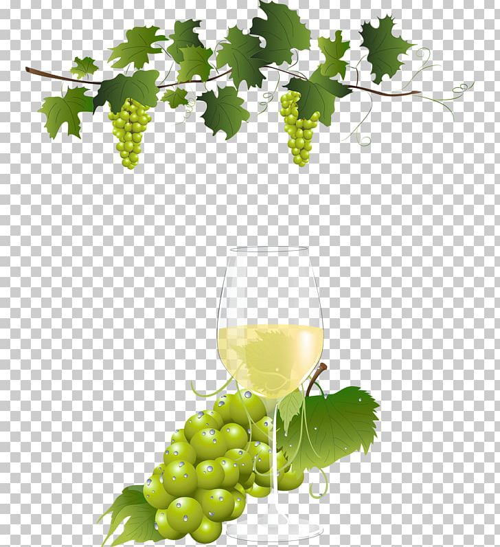 Grape Vine Wine PNG, Clipart, Common Grape Vine, Desktop Wallpaper, Digital Image, Drinkware, Food Free PNG Download