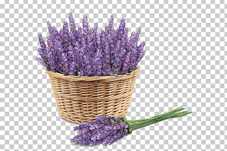 Sunscreen Lavender Face Skin Price PNG, Clipart, Artificial Flower, Baskets, Cosmetics, English Lavender, Facial Free PNG Download