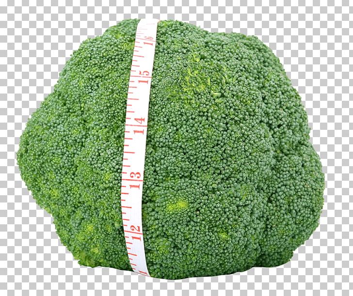 Broccoli Vegetable Appetite Food Cauliflower PNG, Clipart, Appetite, Brassica Oleracea, Broccoli, Cabbage, Calorie Free PNG Download