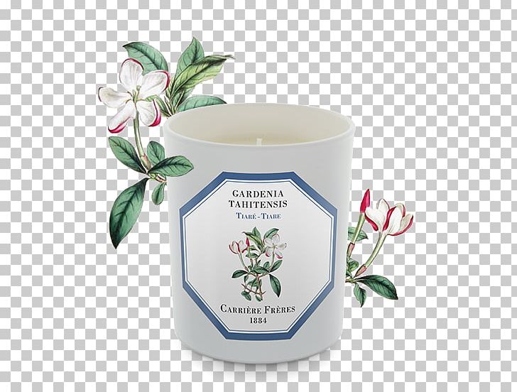 Gardenia Taitensis Candle Perfume Orange Blossom Grasse PNG, Clipart, Aroma Compound, Candle, Candle Wick, Damask Rose, Flower Free PNG Download