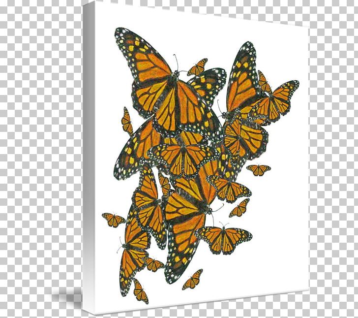 Monarch Butterfly T-shirt Clothing Hoodie Fashion PNG, Clipart, Art, Awareness Ribbon, Brush Footed Butterfly, Fashion, Glossy Butterflys Free PNG Download