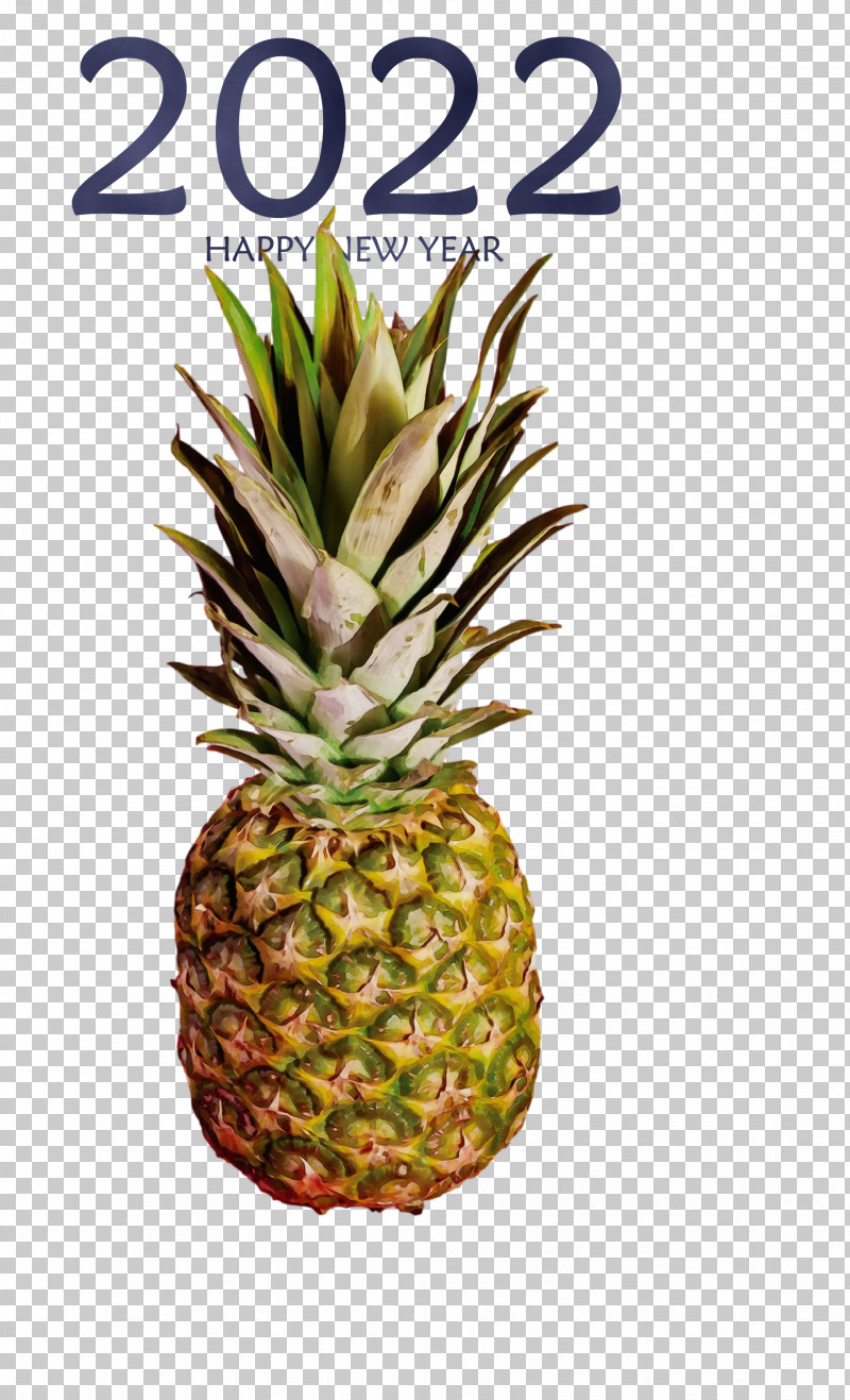 Pineapple PNG, Clipart, Biology, Fruit, Paint, Pineapple, Plant Free PNG Download
