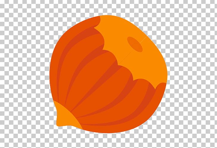 Calabaza Pumpkin Circle Font PNG, Clipart, Calabaza, Circle, Cucurbita, Fruit, Hazelnut Free PNG Download