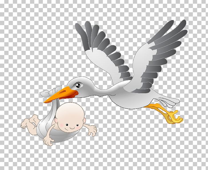 Infant Stork PNG, Clipart, Animals, Baby, Baby Girls, Baby Shower, Beak Free PNG Download