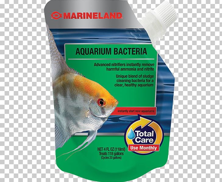 Marineland Aquarium Filters Bacteria Fish PNG, Clipart, Aquarium, Aquarium Filters, Aquariums, Bacteria, Fish Free PNG Download