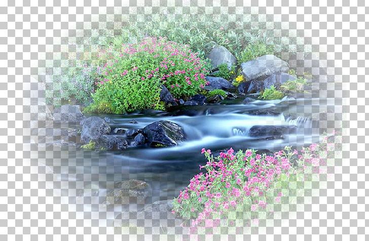Paradise River Desktop Nature Landscape PNG, Clipart, Computer, Desktop Wallpaper, Flora, Ganges, Grass Free PNG Download