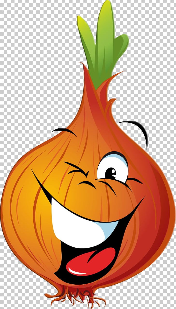 Red Onion Vegetable PNG, Clipart, Calabaza, Computer Icons, Cucurbita, Fictional Character, Flowering Plant Free PNG Download