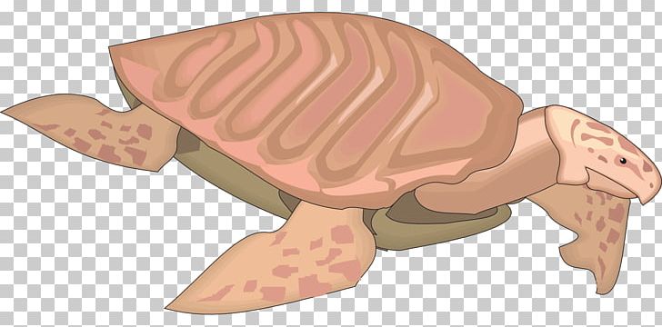 Tortoise Sea Turtle Archelon Reptile PNG, Clipart, Ancient, Animal, Animal Figure, Animals, Animation Free PNG Download