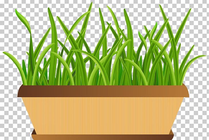 Flowerpot PNG, Clipart, Ceramic, Clip Art, Clipart, Commodity, Flower Free PNG Download