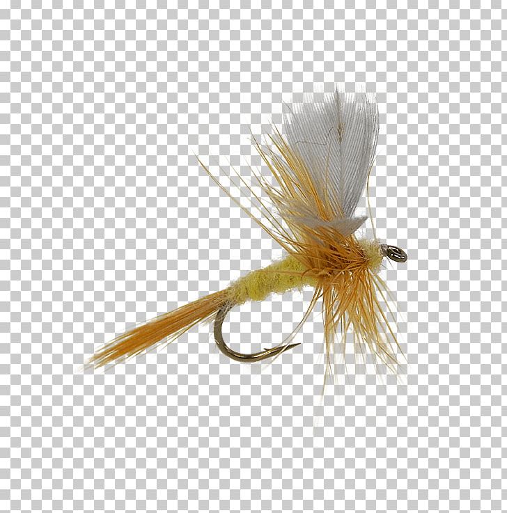 Artificial Fly Emergers Fly Fishing Insect PNG, Clipart, Artificial Fly, Brand, Distribution, Dun, Fishing Free PNG Download