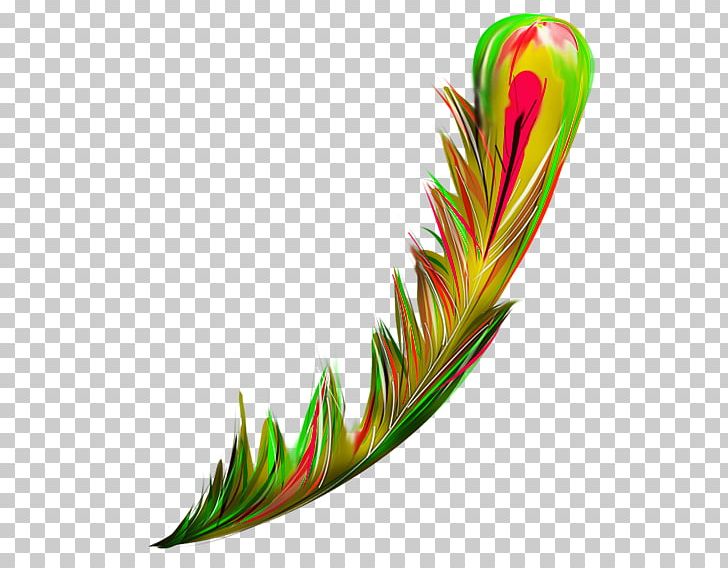 Bird Feather Green Euclidean PNG, Clipart, Animals, Background Green, Bird, Christmas Decoration, Decorative Free PNG Download