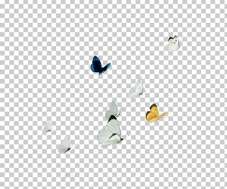 Microsoft Azure PNG, Clipart, 3meopcp, Art, Butterfly, Insect, Microsoft Azure Free PNG Download