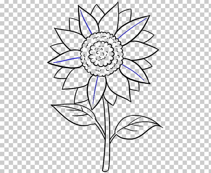Drawing Common Sunflower Black And White Sketch PNG, Clipart, Artwork, Black  And White, Cartoon, Common Sunflower,