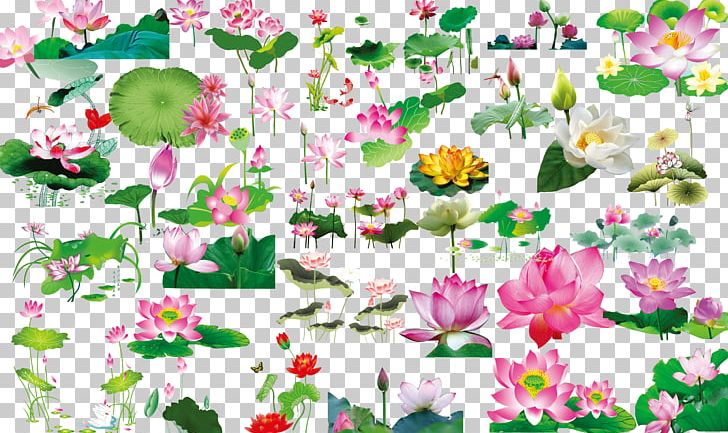 Nelumbo Nucifera Leaf PNG, Clipart, Annual Plant, Art, Autumn Leaf, Chinese, Chinese Style Free PNG Download
