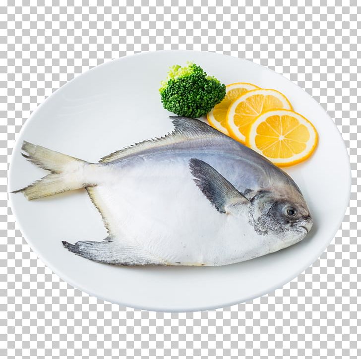Pampus Argenteus Black Pomfret Fish Seafood PNG, Clipart, Animal Source Foods, Catering, China, East, Fish Products Free PNG Download