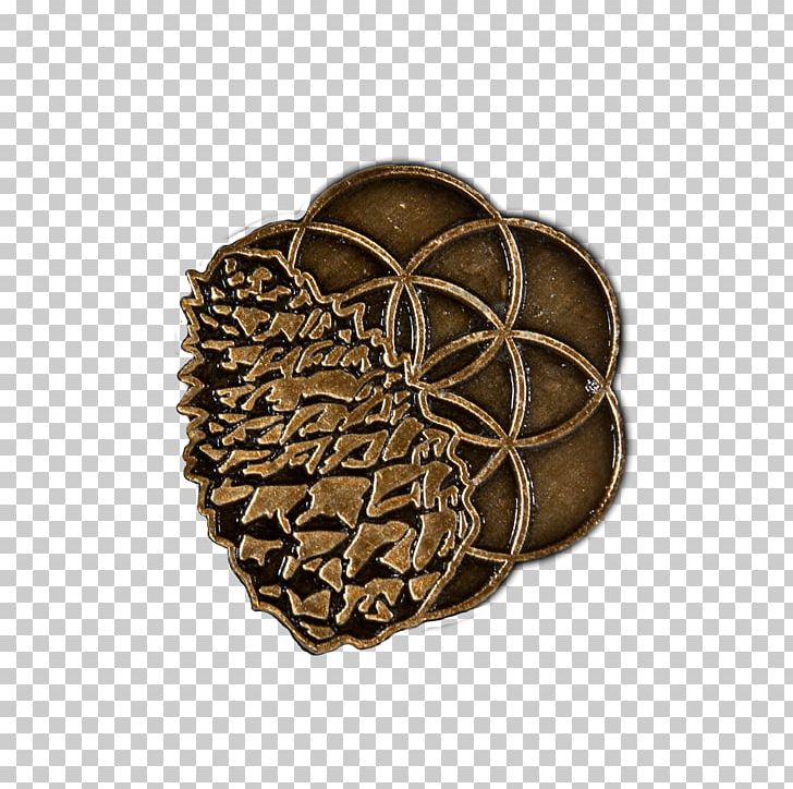 Pineal Gland Conifer Cone Clothing Accessories PNG, Clipart, Brass, Chemical Substance, Clothing Accessories, Conifer Cone, Gland Free PNG Download