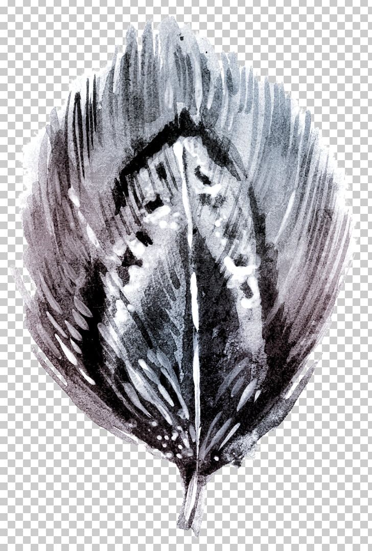 Black And White Watercolor Painting Feather PNG, Clipart, Animal, Animal Feather, Animals, Cartoon, Download Free PNG Download