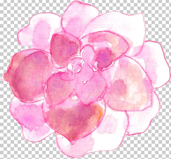 Succulent Plant Watercolor Painting PNG, Clipart, Color, Download, Encapsulated Postscript, Euclidean Vector, Flower Free PNG Download