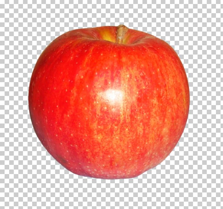 Apple Red PNG, Clipart, Appl, Apple Fruit, Apple Logo, Apple Tree, Diagram Free PNG Download
