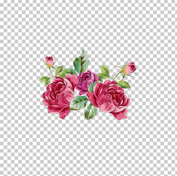 Garden Roses Centifolia Roses Flower Plant Moutan Peony PNG, Clipart, Artificial Flower, Beautiful, Exquisite Pictures, Floral Design, Floristry Free PNG Download