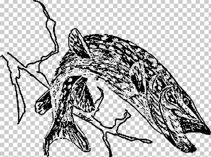 Northern Pike Drawing Line Art PNG, Clipart, Art, Artwork, Carnivoran, Claw, Dog Like Mammal Free PNG Download