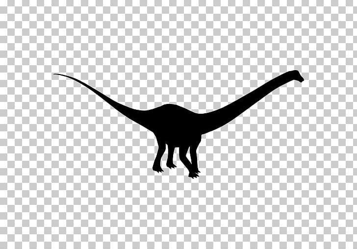 Diplodocus Irritator Iguanodon Amargasaurus Dinosaur PNG, Clipart, Amargasaurus, Animal, Animal Figure, Black And White, Carnivoran Free PNG Download