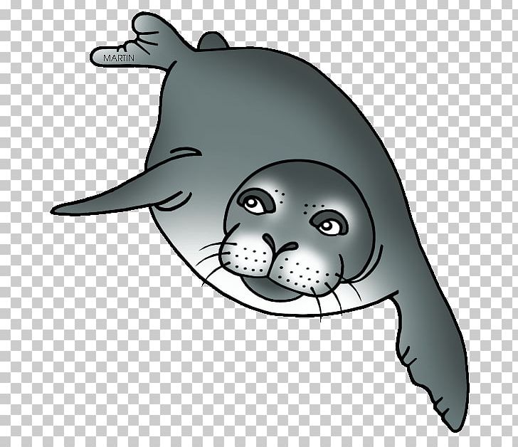 Hawaiian Monk Seal Harbor Seal PNG, Clipart, Animal, Animals, Black And White, Carnivoran, Cartoon Free PNG Download