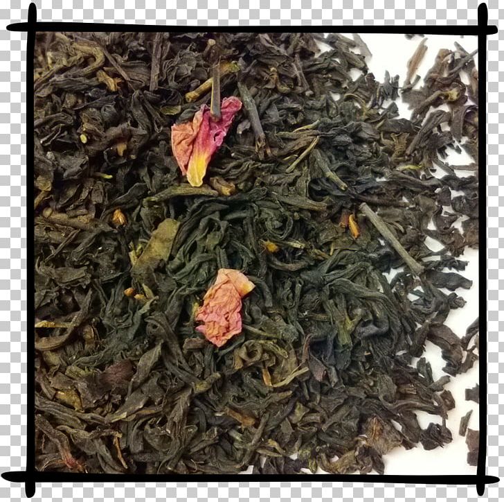 Nilgiri Tea Dianhong Tea Plant PNG, Clipart, Assam Tea, Ceylon Tea, Da Hong Pao, Dianhong, Earl Grey Tea Free PNG Download